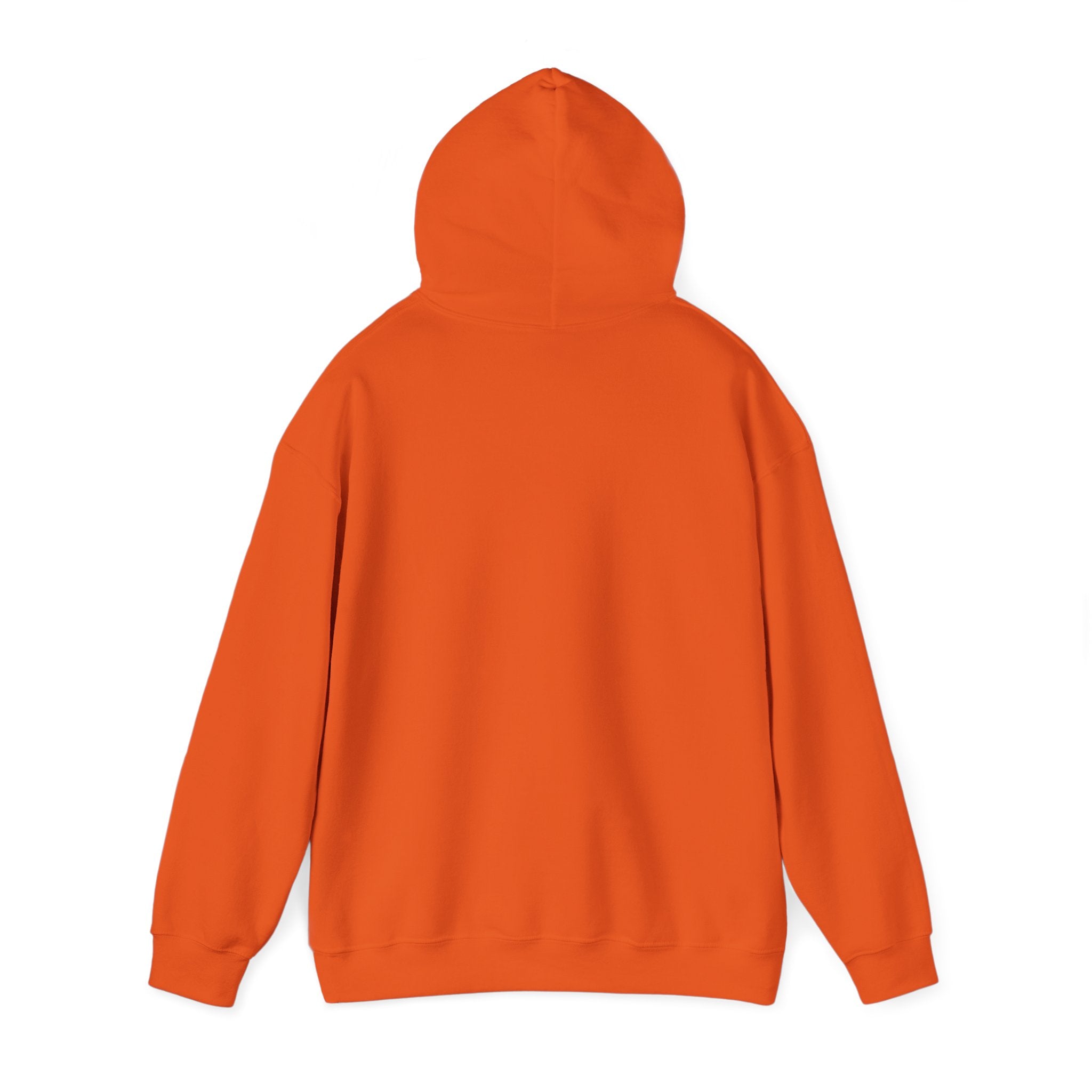 Cool Grandma Hooded Sweatshirt - Gift for Grandparents